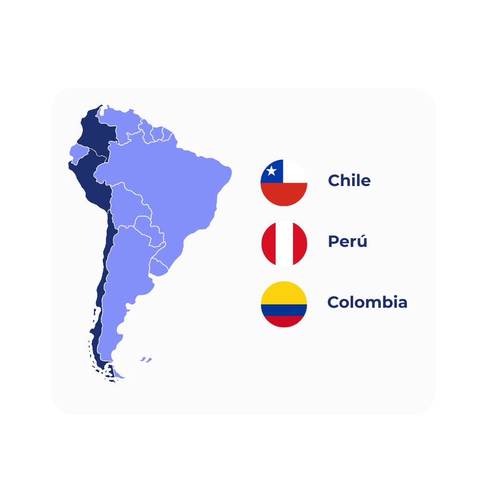 Dashboard de Reportes (13)